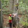 holzerei