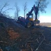 galerie
